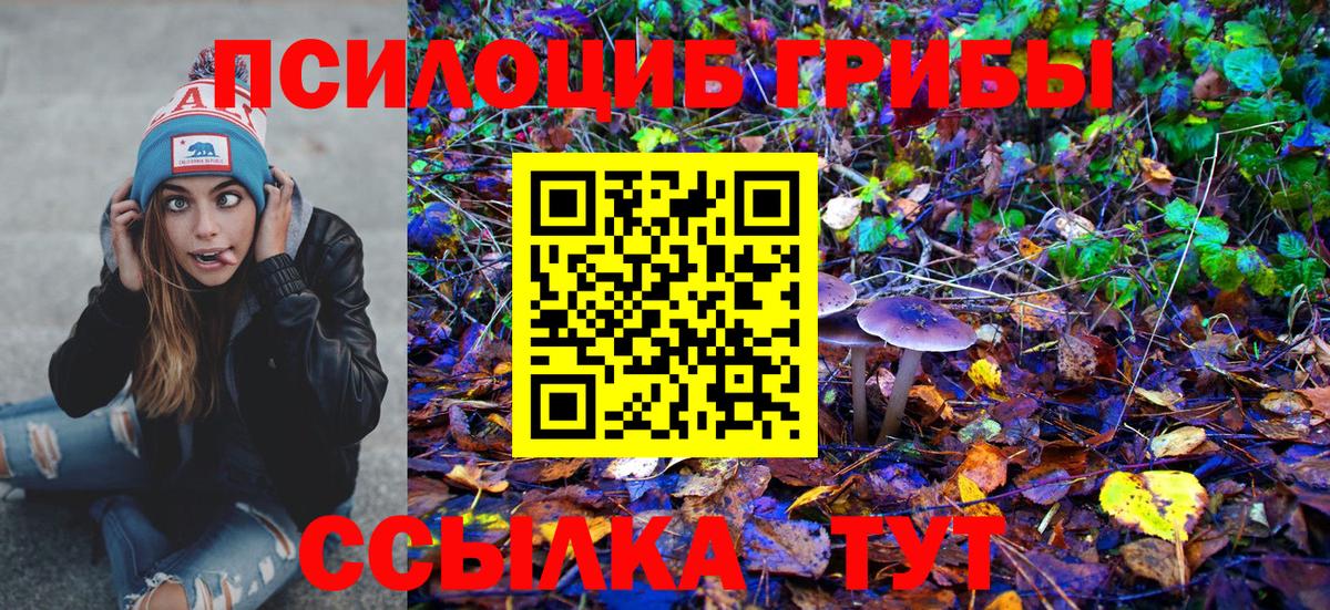 Галлюциногенные грибы прущие грибы Сергиев Посад
